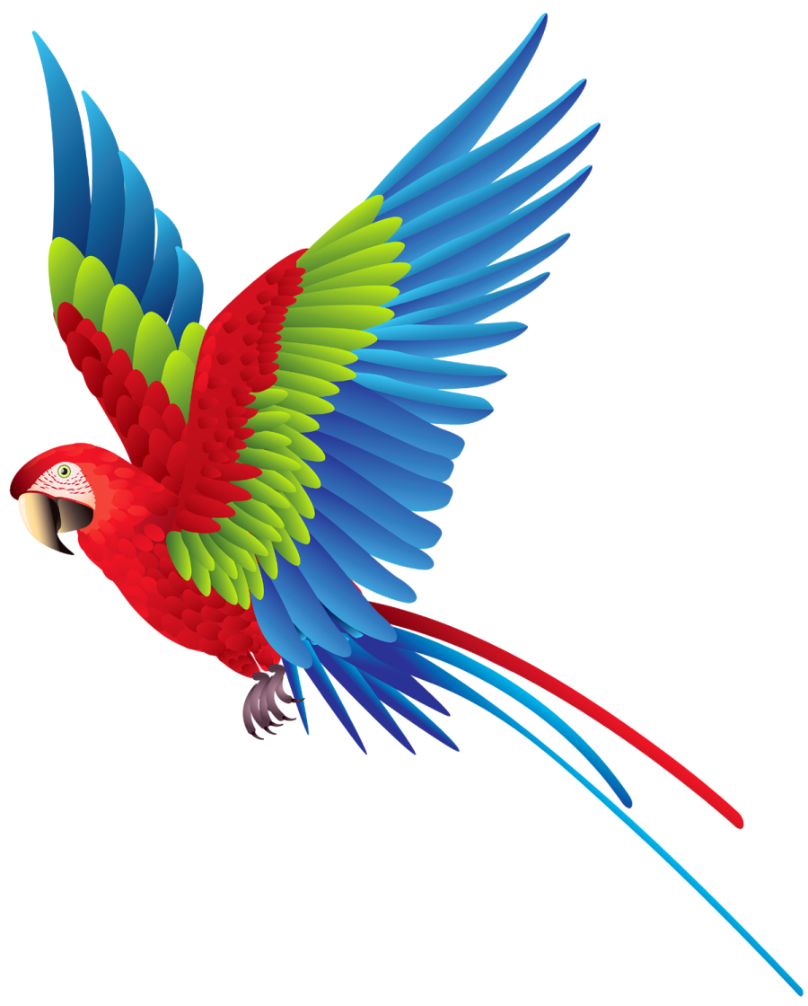 a colorful parrot flying in the air