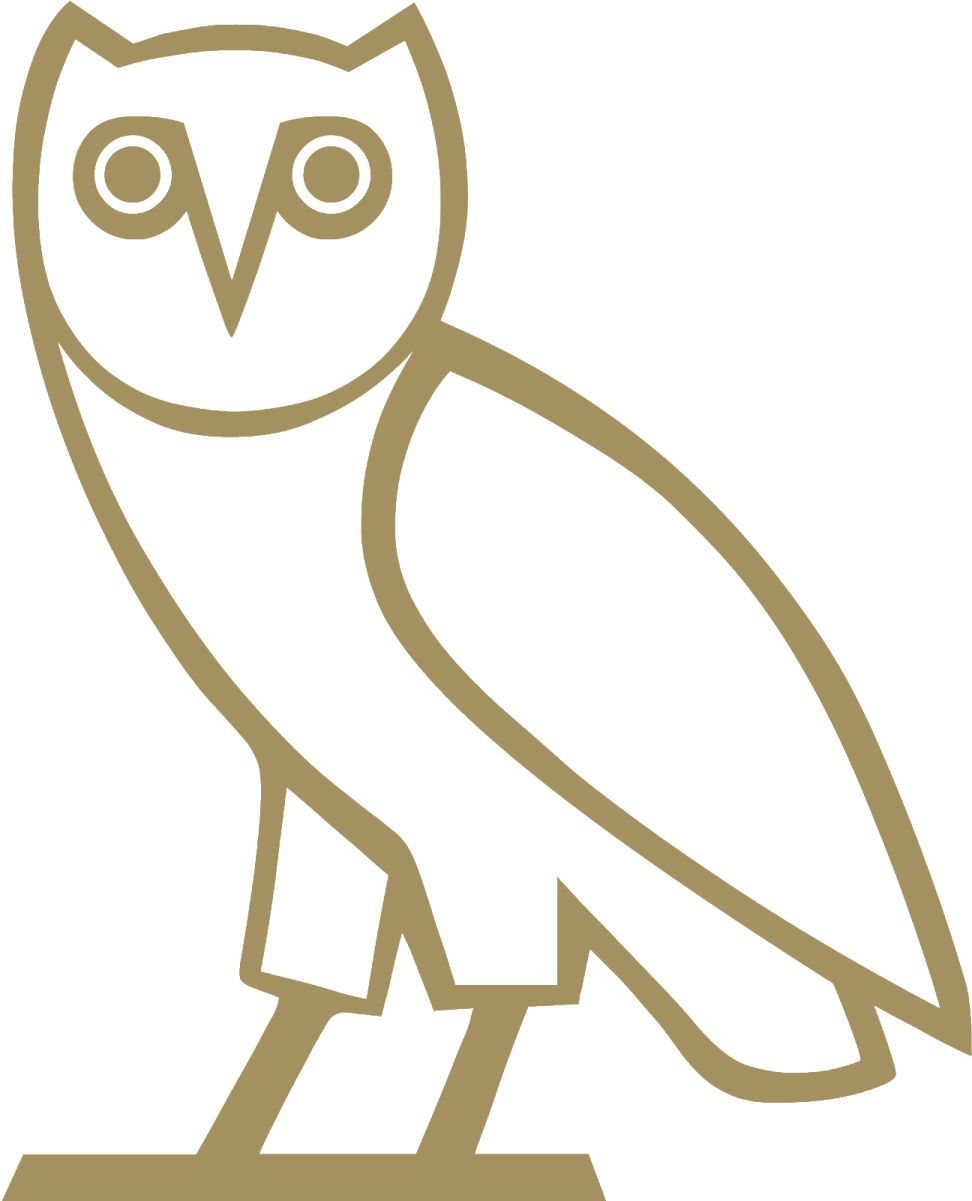 an owl sitting on top of a wooden block