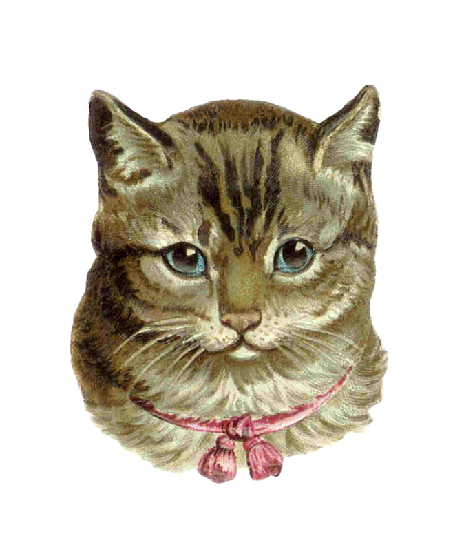 a drawing of a cat with blue eyes