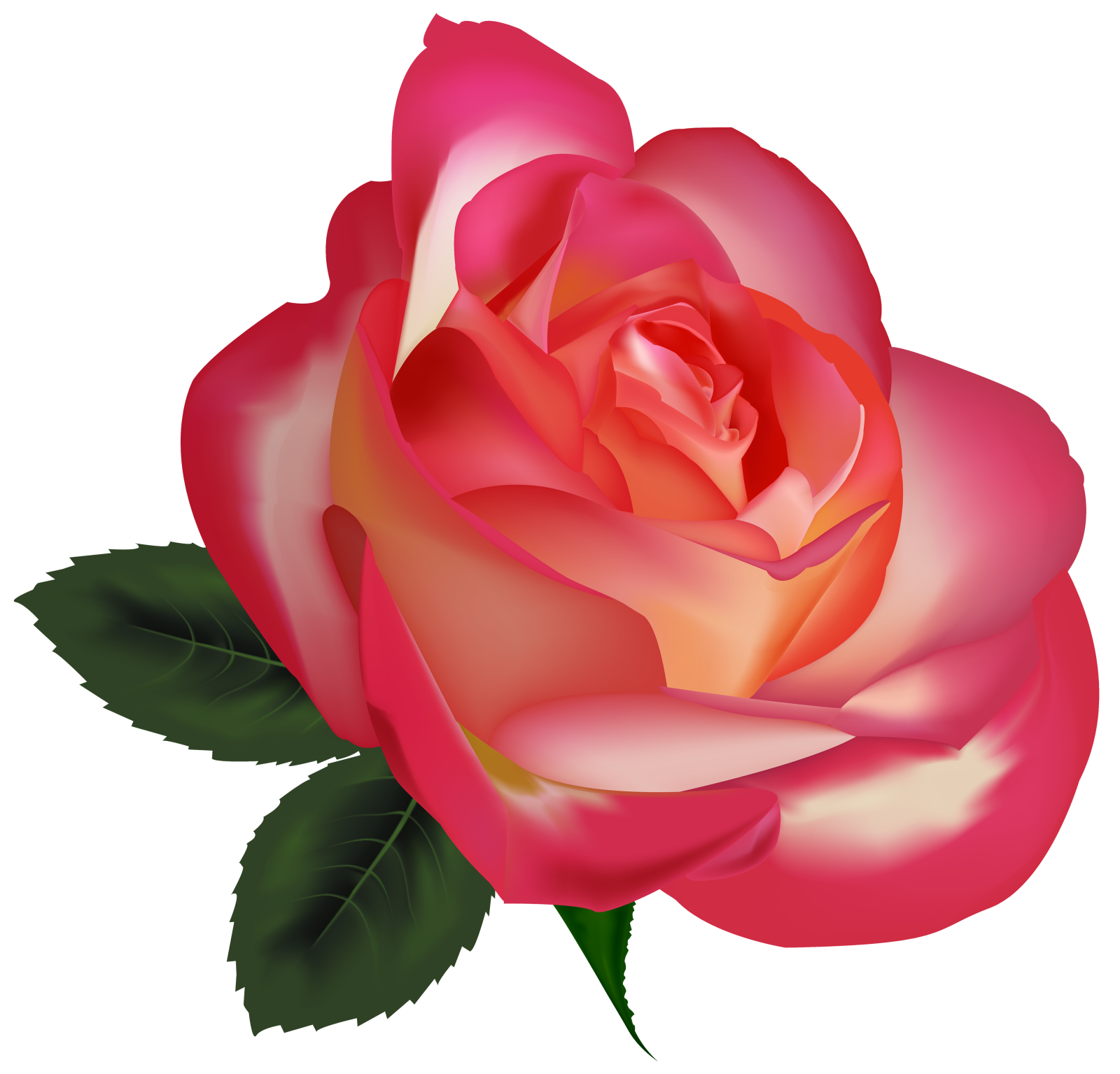a pink rose with green leaves