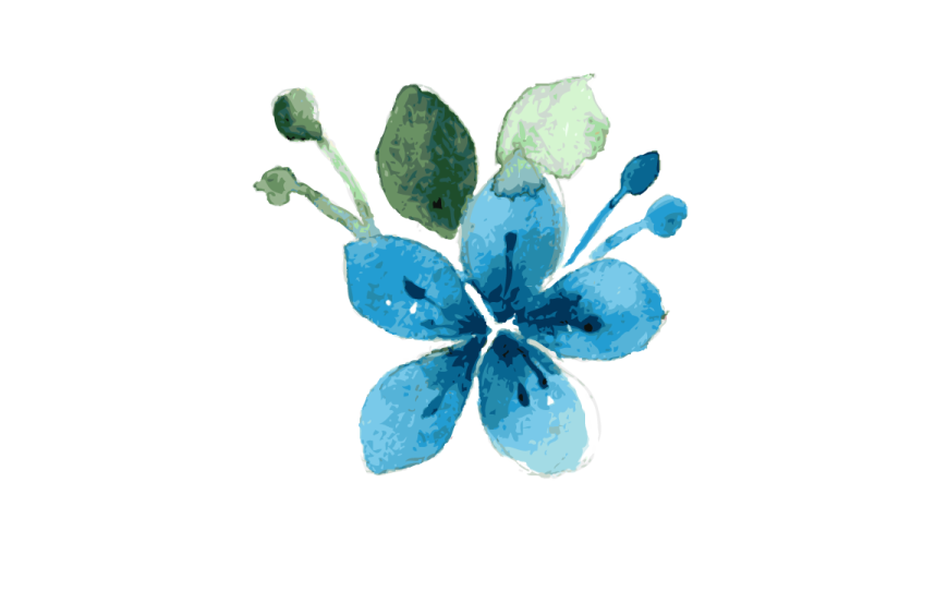 a blue flower on a white background