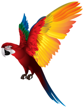 a colorful parrot flying with its wings spread