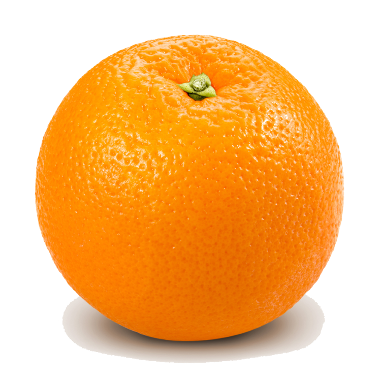 an orange on a white background