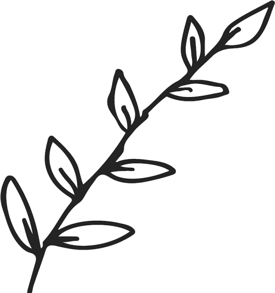 a black and white drawing of a branch