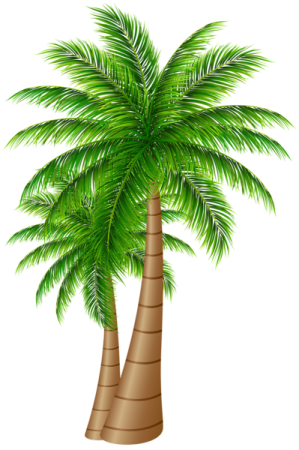 a palm tree with green leaves