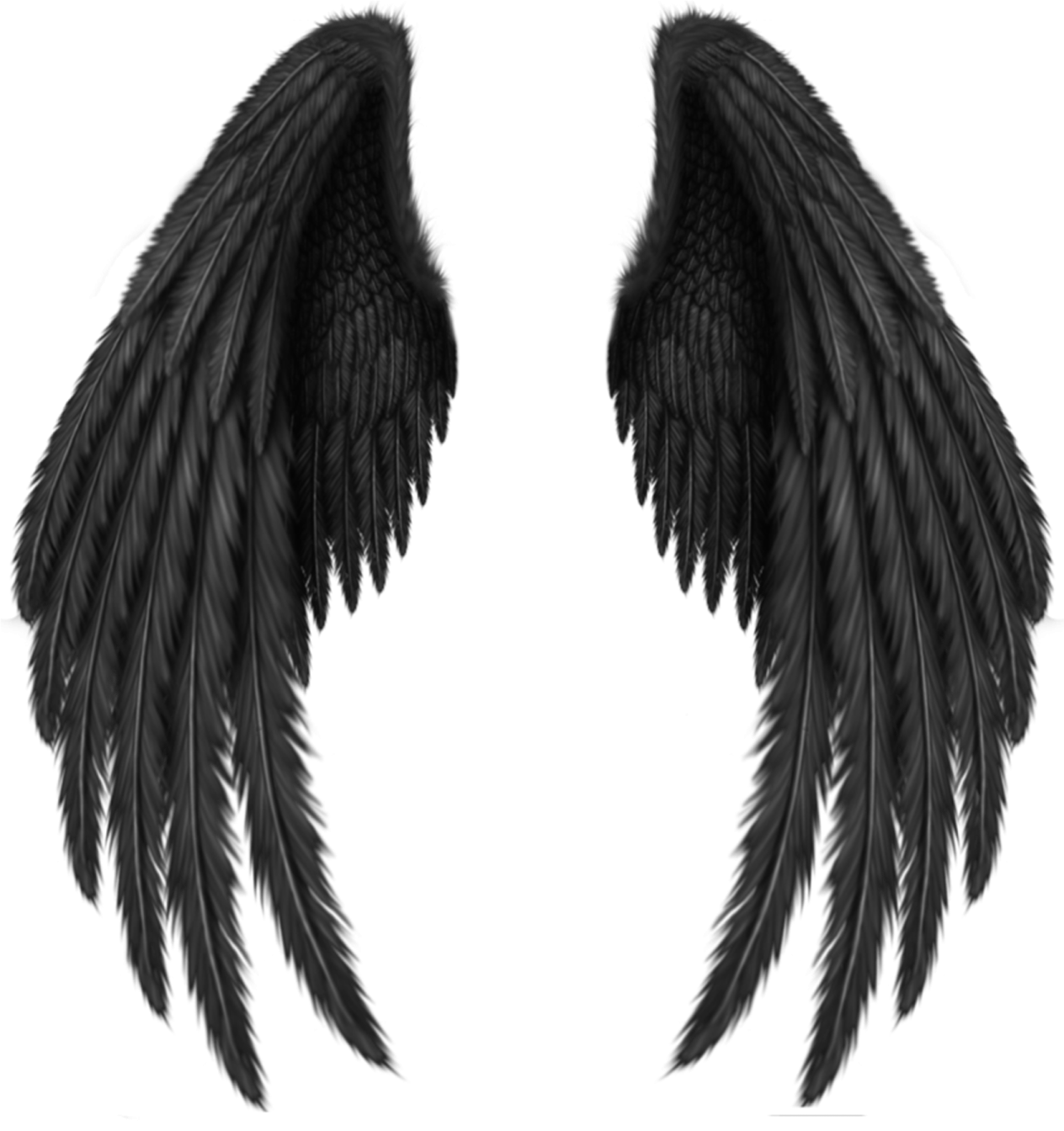 two black wings on a white background
