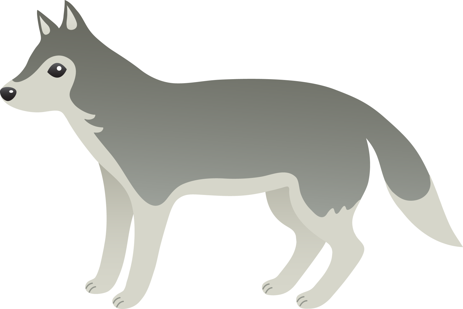 a gray and white dog with black eyes