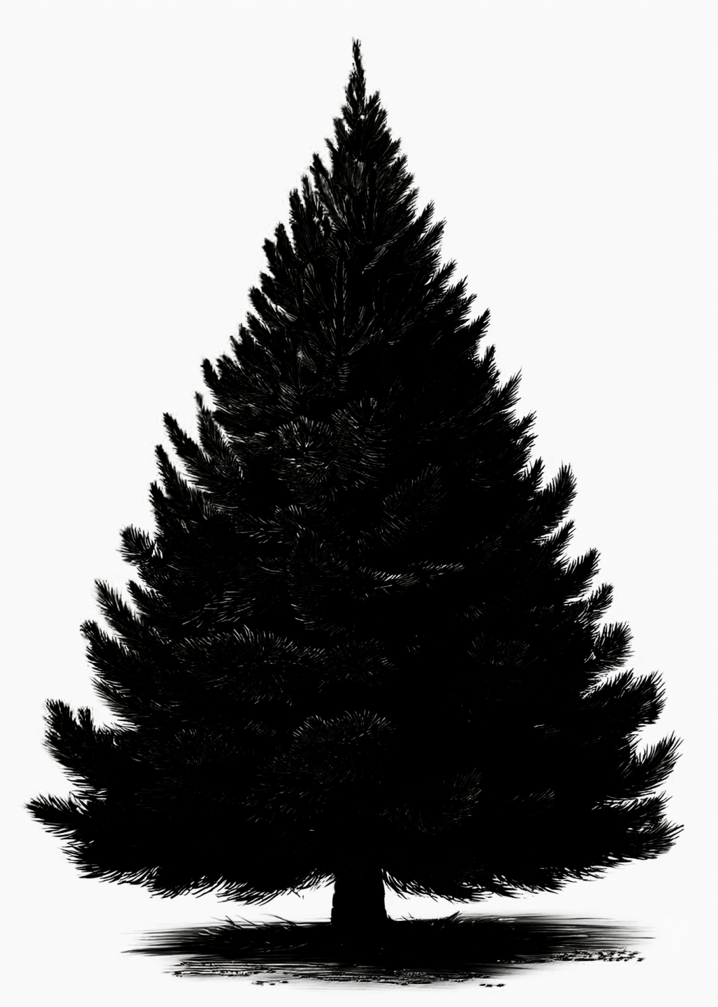 a black and white drawing of a pine tree