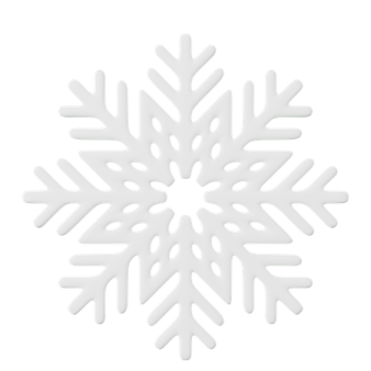 a white snowflake with a large snow fl