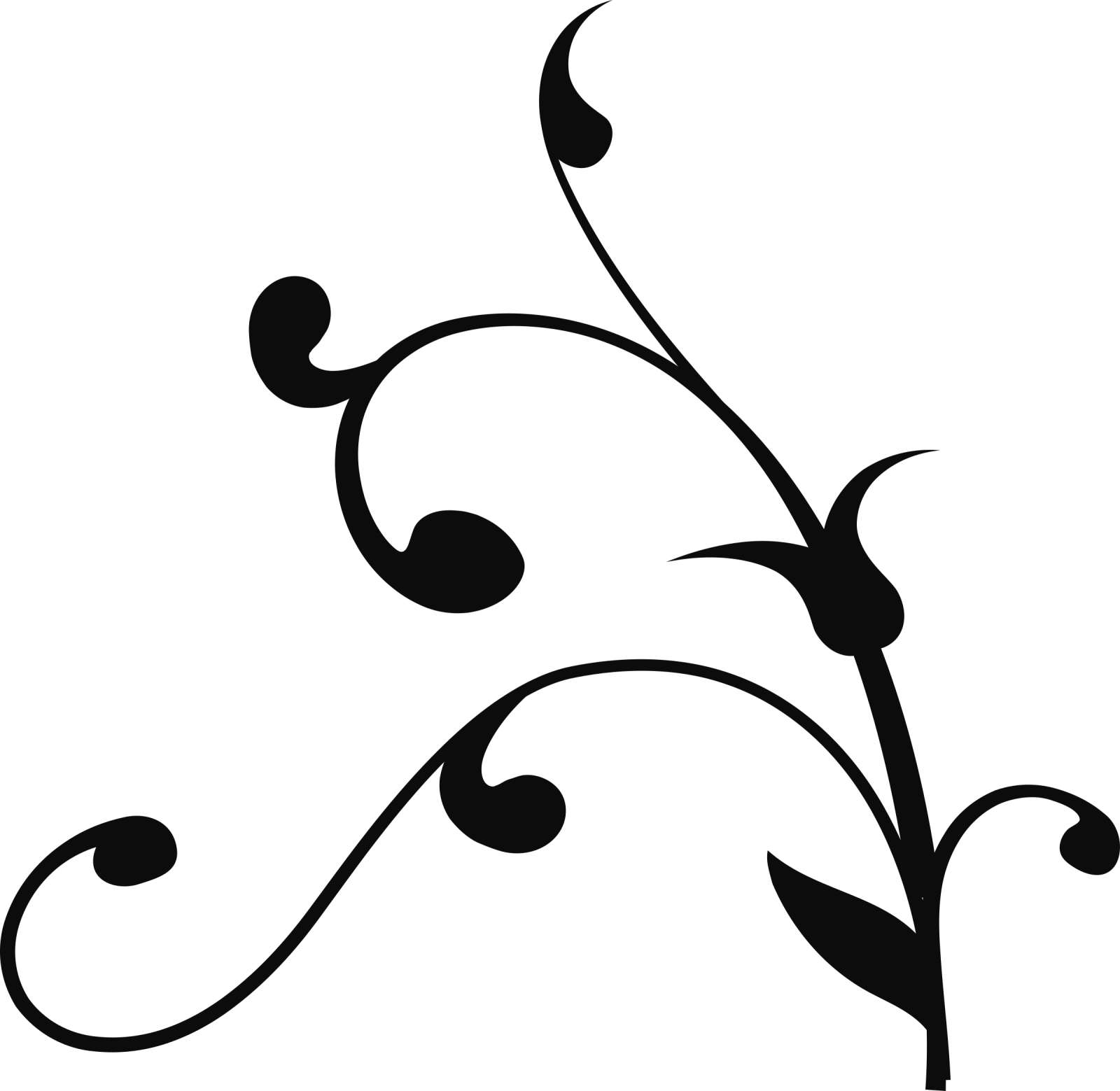a black and white image of a vine