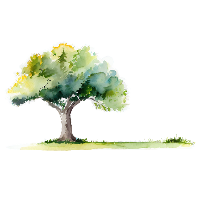 a watercolor painting of an olive tree