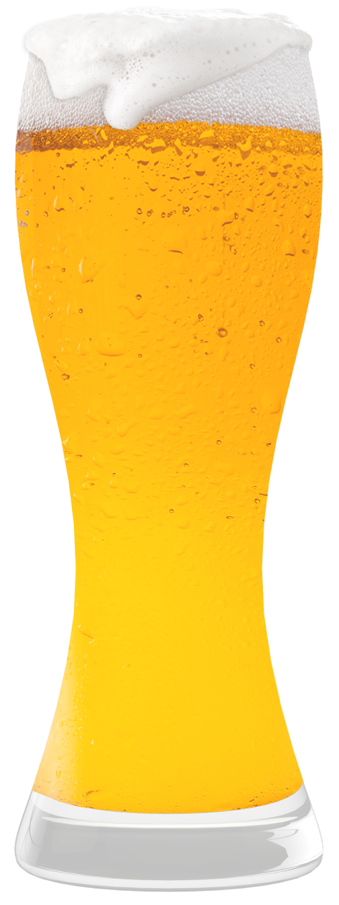a glass of beer on a white background