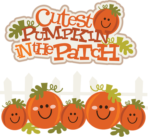 a group of pumpkins with the words just pumpkin