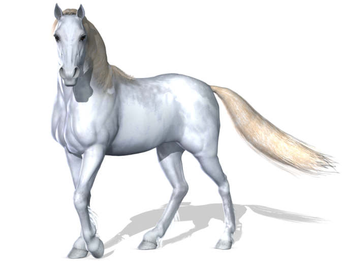 the horse is white