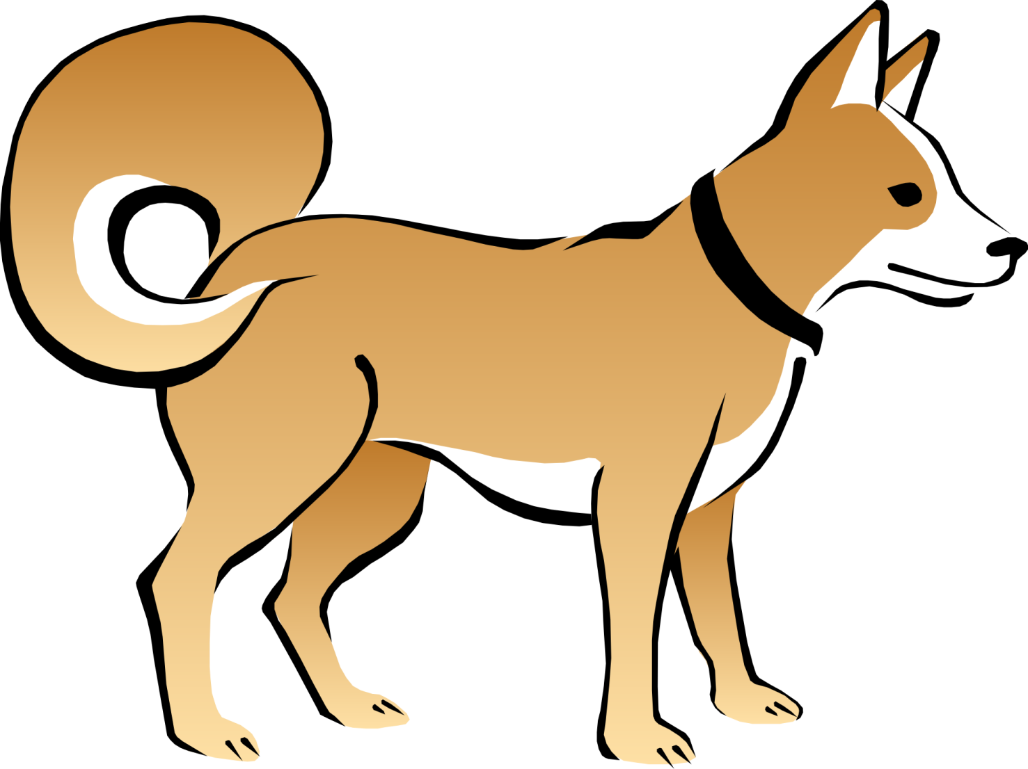 a brown and white dog with a black collar