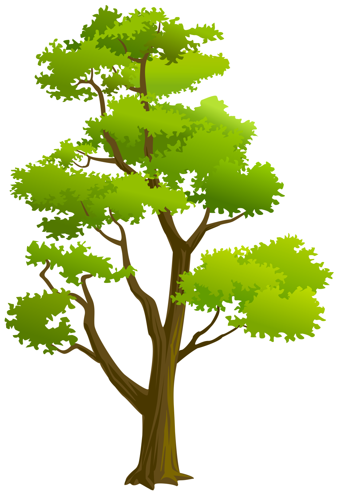 a green tree on a white background