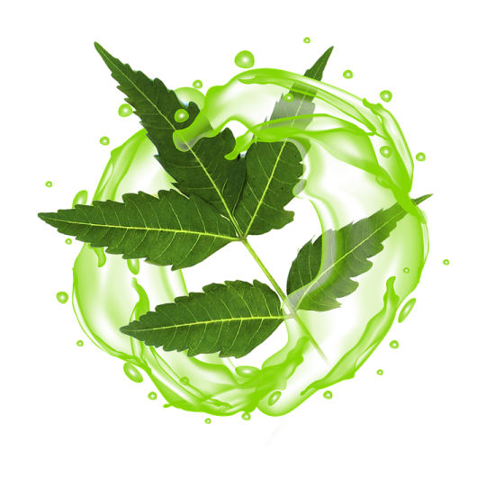 a green leaf floating in the air