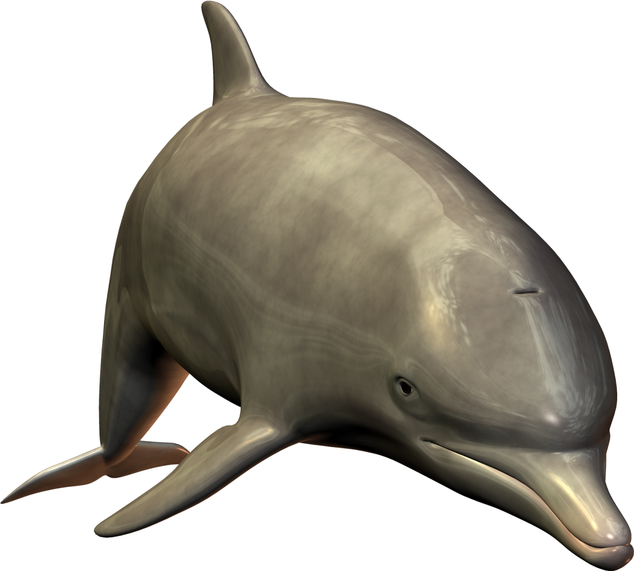 a dolphin that is sitting on the ground