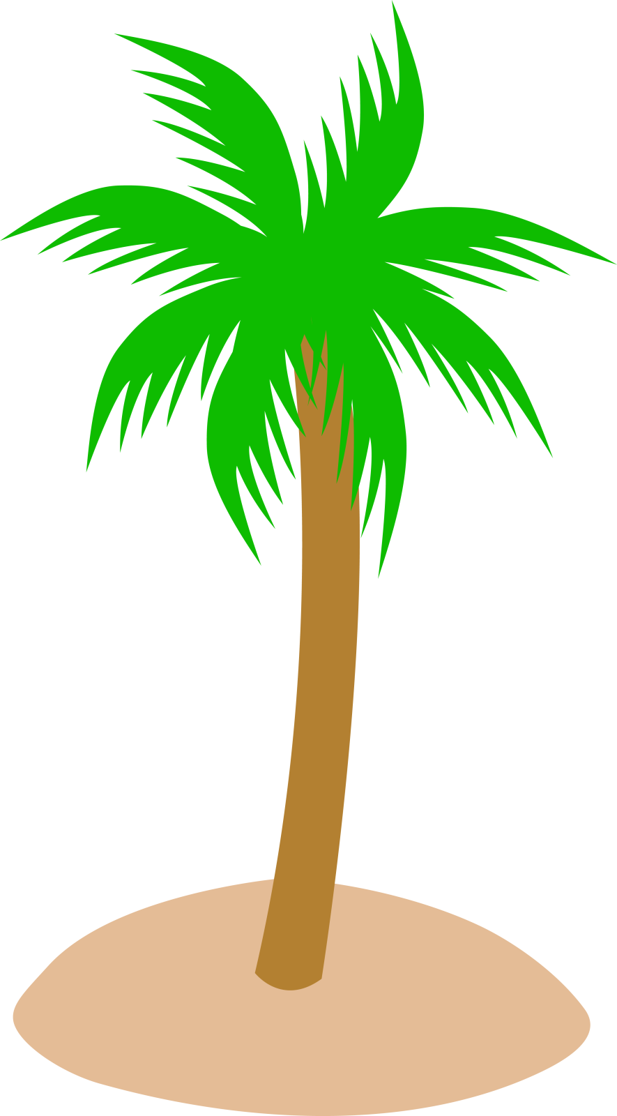 a palm tree on an island