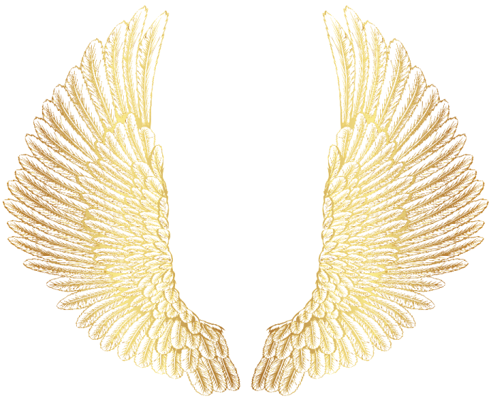 a pair of wings on a white background