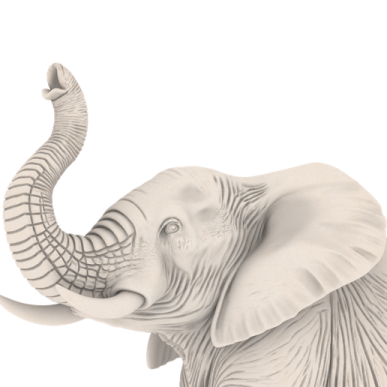 an elephant is standing in front of a white background