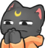 a black cat sitting on top of an orange pillow