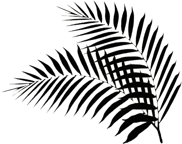 a black and white silhouette of a palm leaf