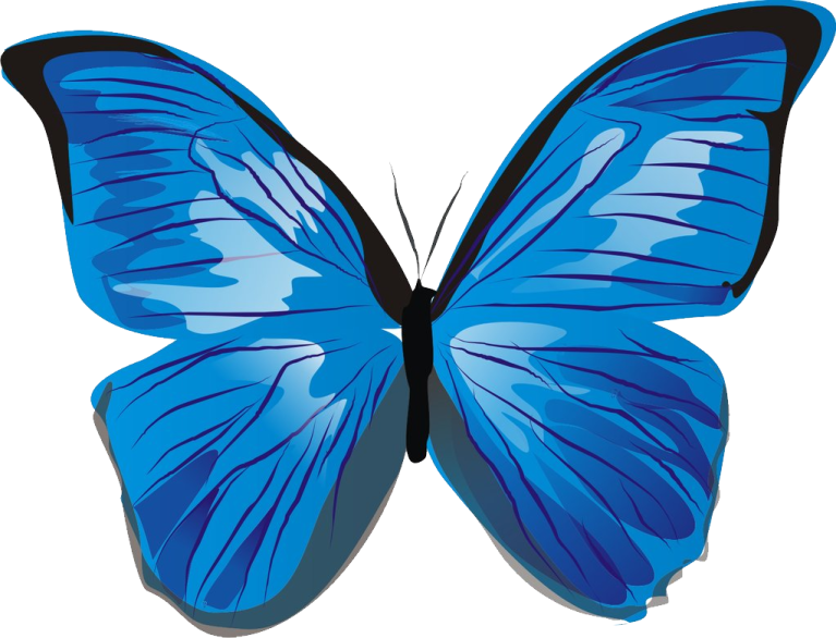 a blue butterfly on a white background