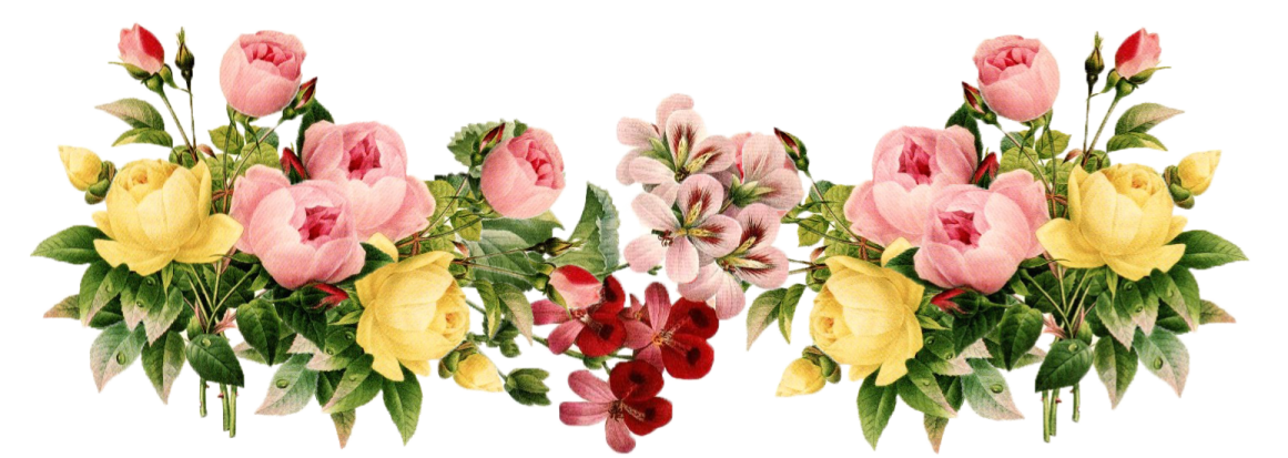 a bunch of flowers on a white background