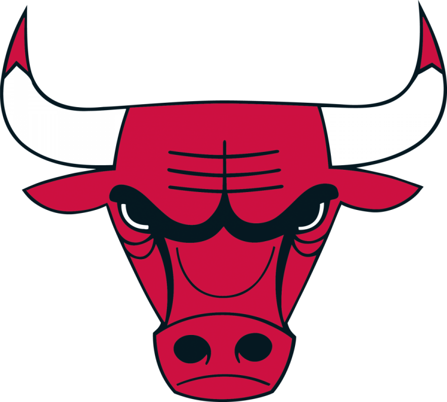 the chicago bulls logo