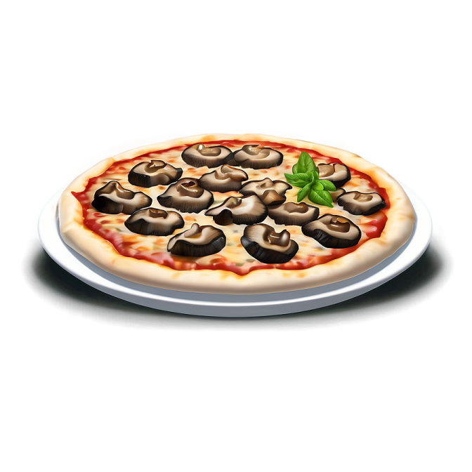 a white plate with a pizza on it