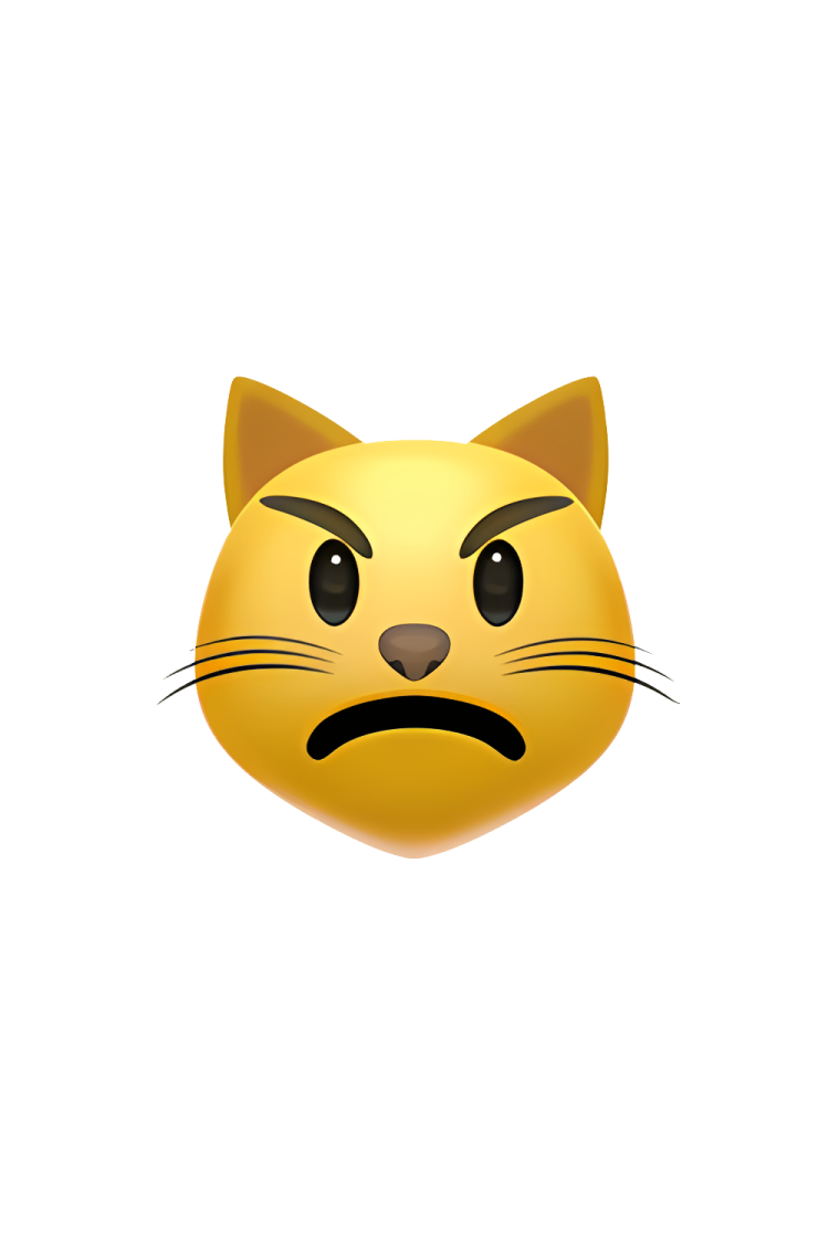 an image of a cat with a sad face