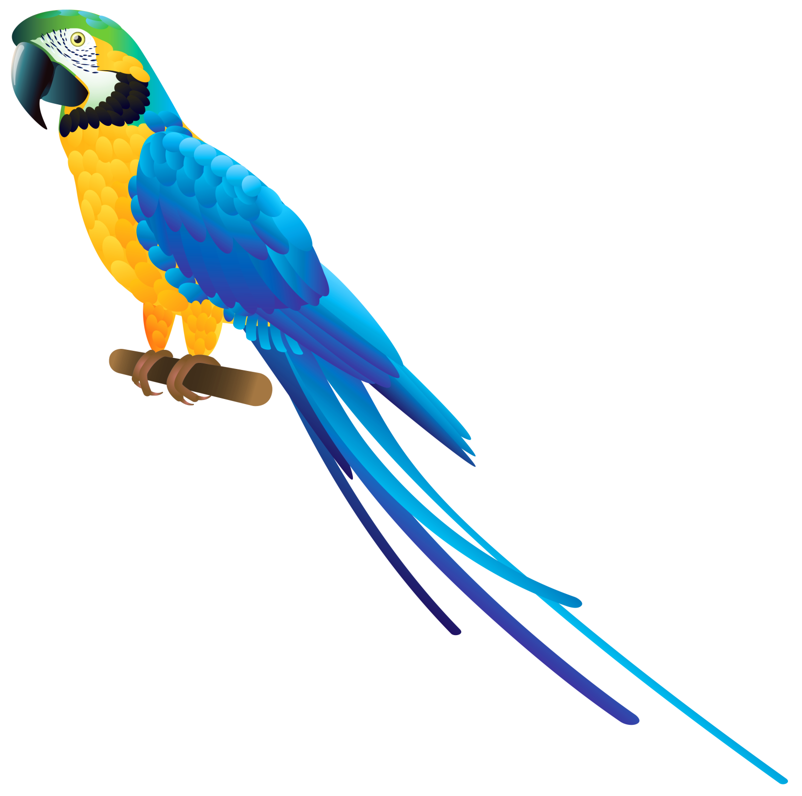 a blue and yellow parrot perched on a branch