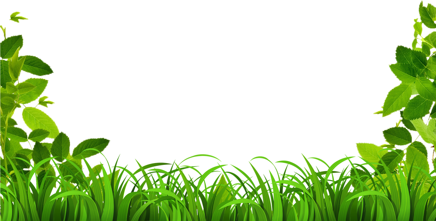 a frame made of green grass and leaves