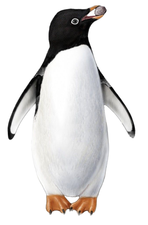 an image of a penguin with its mouth open