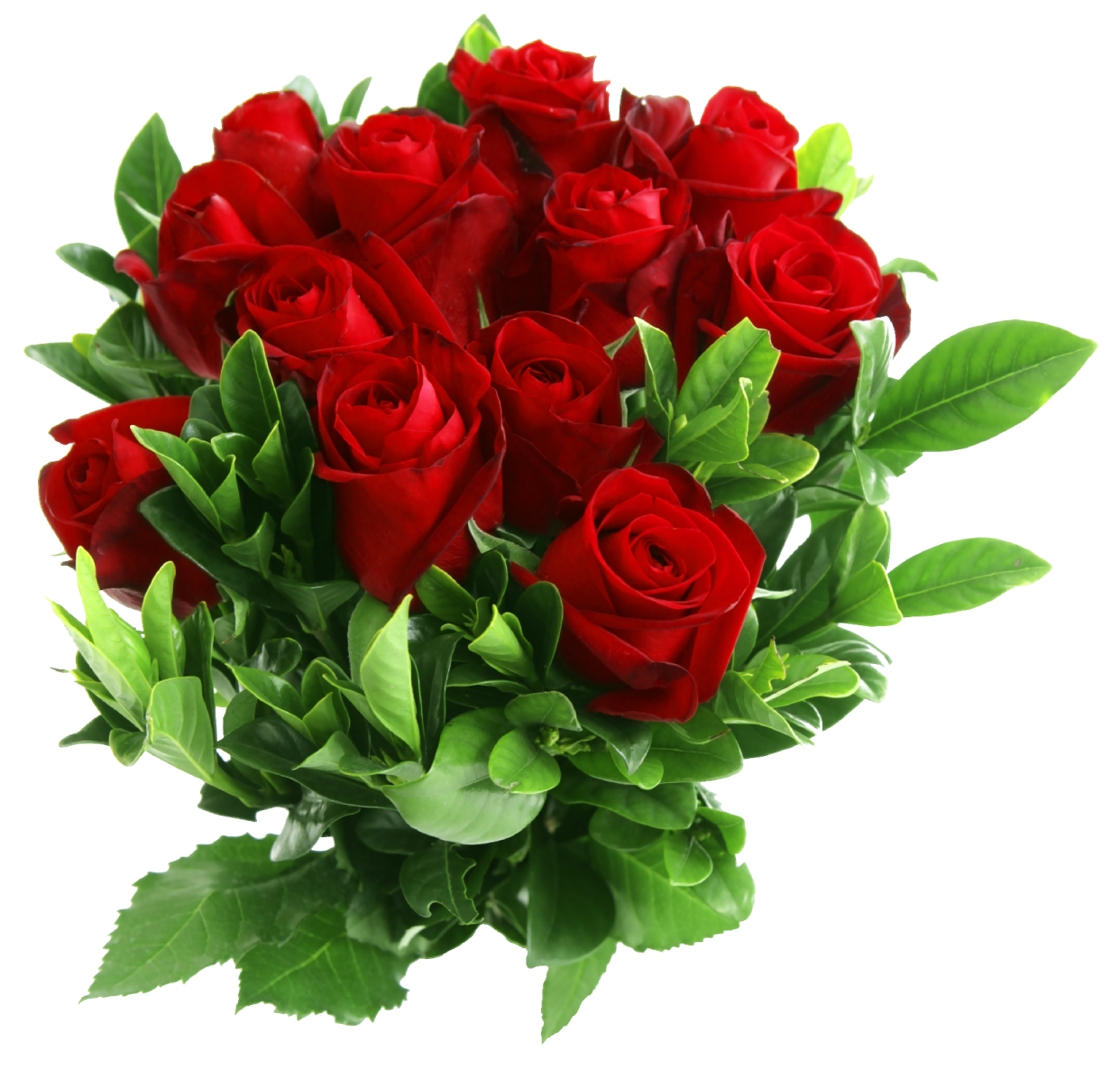 a bouquet of red roses