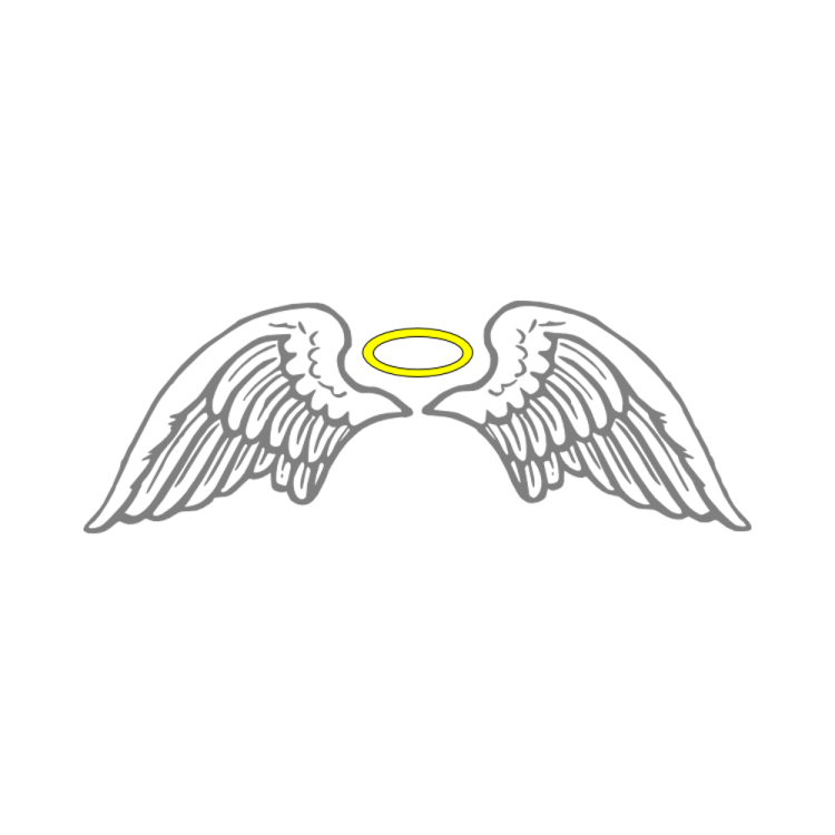 two white wings with a yellow halo