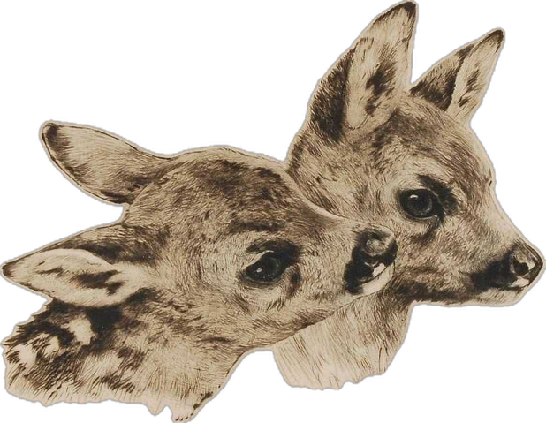 a drawing of two deers on a white background