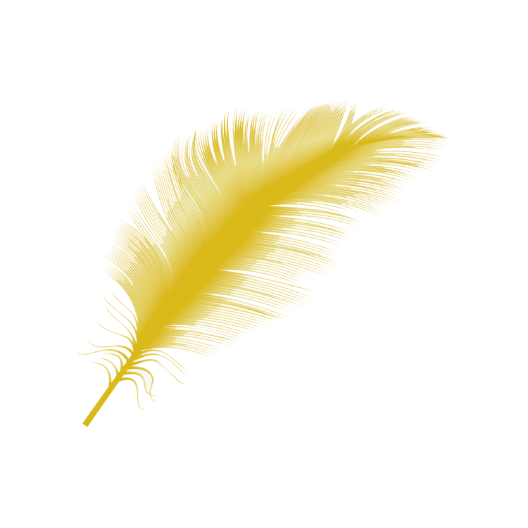 a yellow feather on a white background