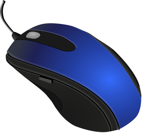 a computer mouse on a white background