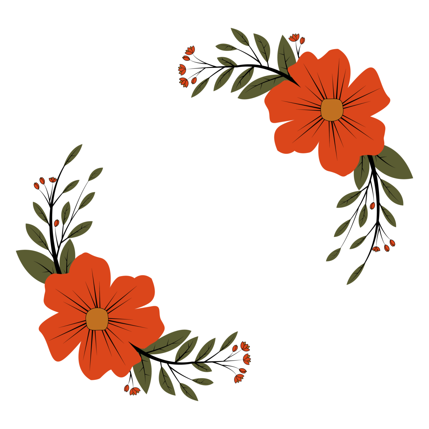 a red flower on a white background