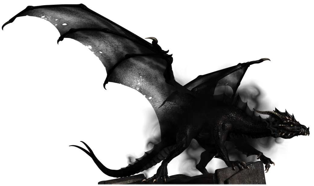 a black dragon flying through the air