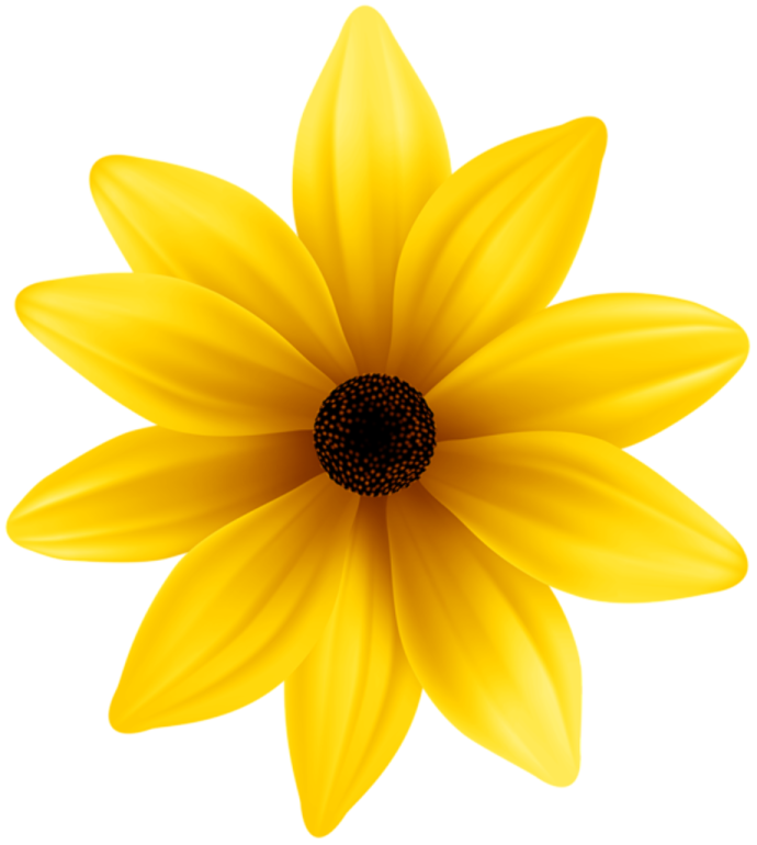 a yellow flower with black center