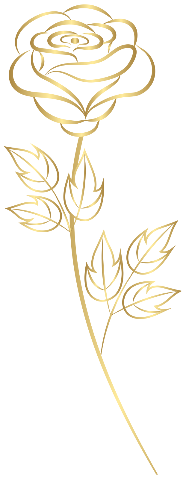 a gold rose on a white background