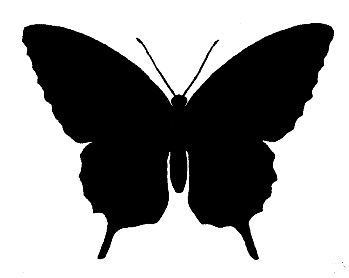 a black and white silhouette of a butterfly