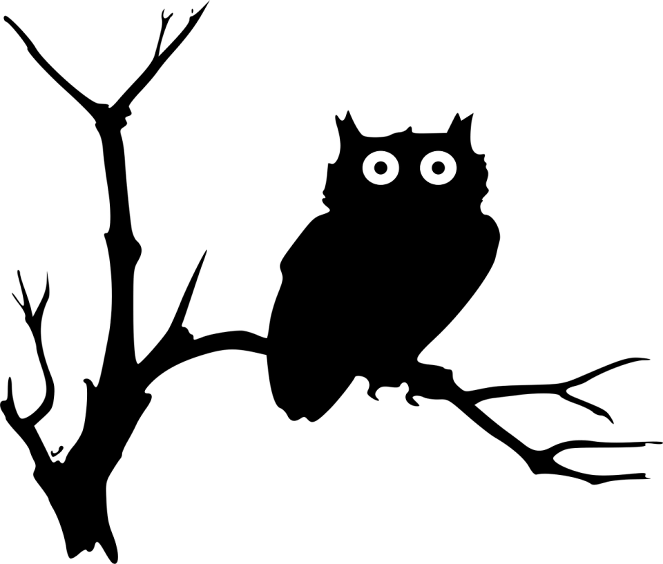 a silhouette of an owl sitting on a branch