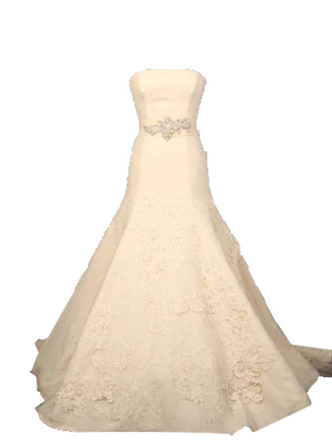 a wedding dress on a white background