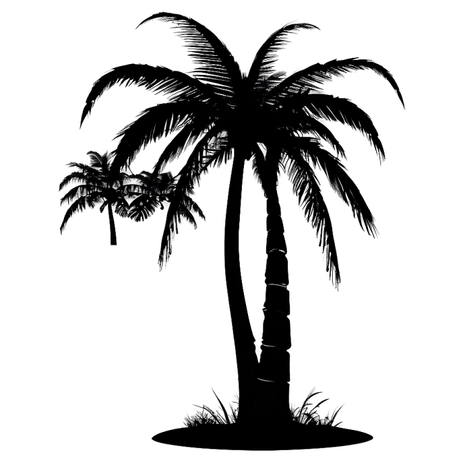 a black and white silhouette of a palm tree