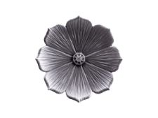 a black and white flower on a white background