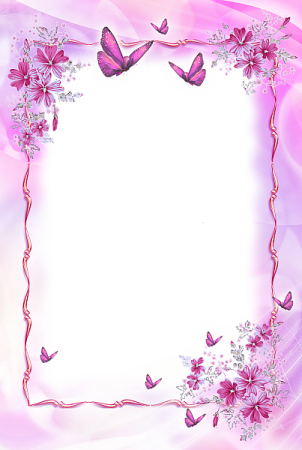 a frame with pink flowers and butterflies